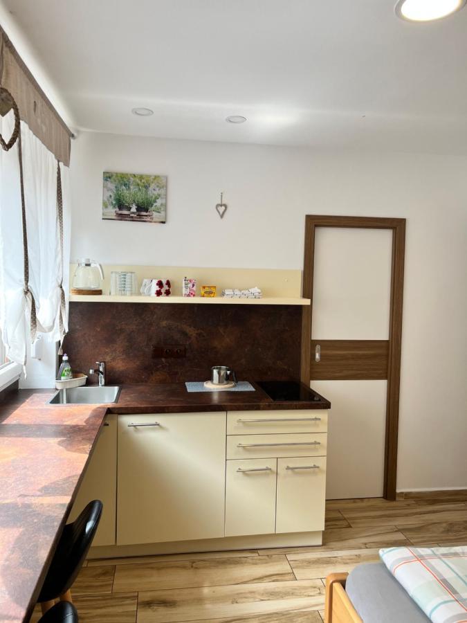 Apartmany Sumavska 체스키크룸로프 외부 사진