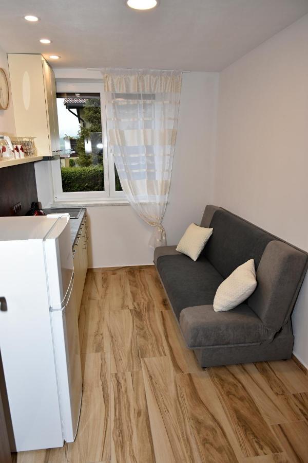 Apartmany Sumavska 체스키크룸로프 외부 사진